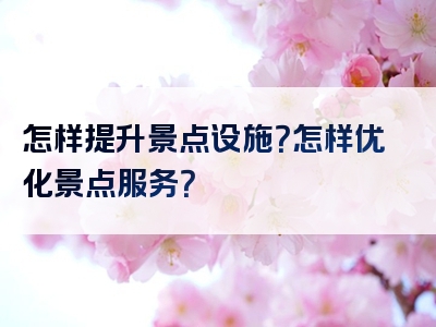 怎样提升景点设施？怎样优化景点服务？