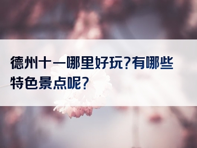 德州十一哪里好玩？有哪些特色景点呢？