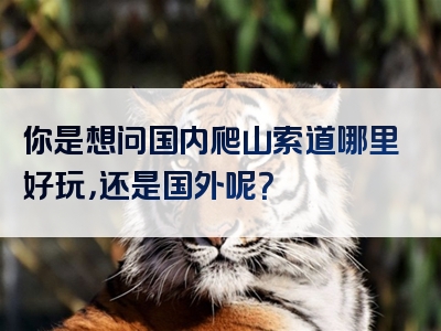 你是想问国内爬山索道哪里好玩，还是国外呢？