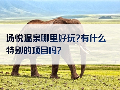 汤悦温泉哪里好玩？有什么特别的项目吗？