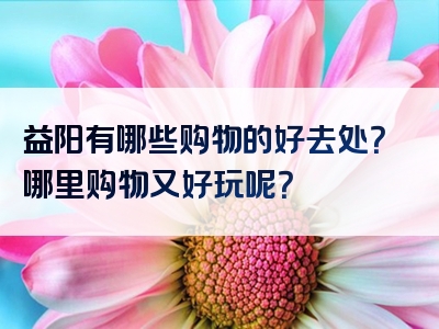 益阳有哪些购物的好去处？哪里购物又好玩呢？