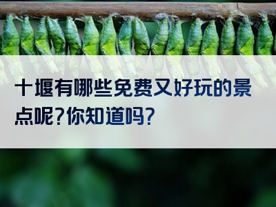 十堰有哪些免费又好玩的景点呢？你知道吗？