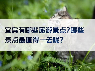 宜宾有哪些旅游景点？哪些景点最值得一去呢？