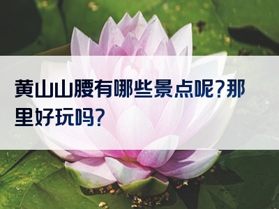 黄山山腰有哪些景点呢？那里好玩吗？