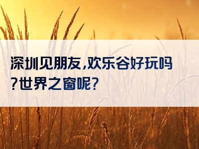深圳见朋友，欢乐谷好玩吗？世界之窗呢？