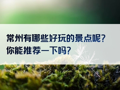 常州有哪些好玩的景点呢？你能推荐一下吗？