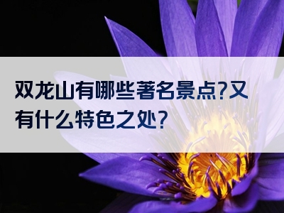 双龙山有哪些著名景点？又有什么特色之处？