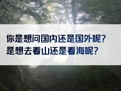 你是想问国内还是国外呢？是想去看山还是看海呢？