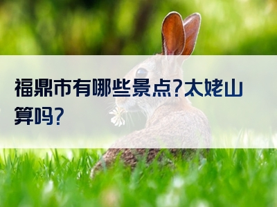 福鼎市有哪些景点？太姥山算吗？