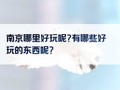 南京哪里好玩呢？有哪些好玩的东西呢？