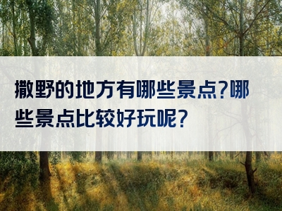 撒野的地方有哪些景点？哪些景点比较好玩呢？