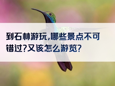 到石林游玩，哪些景点不可错过？又该怎么游览？