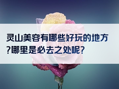 灵山美容有哪些好玩的地方？哪里是必去之处呢？