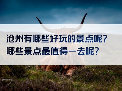 沧州有哪些好玩的景点呢？哪些景点最值得一去呢？