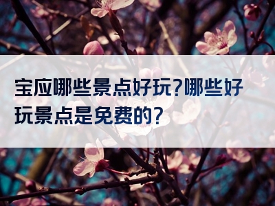 宝应哪些景点好玩？哪些好玩景点是免费的？