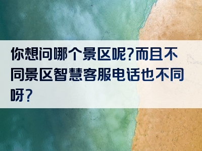 你想问哪个景区呢？而且不同景区智慧客服电话也不同呀？