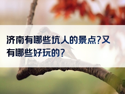 济南有哪些坑人的景点？又有哪些好玩的？