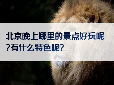 北京晚上哪里的景点好玩呢？有什么特色呢？