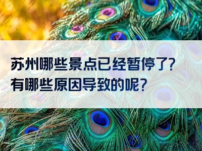 苏州哪些景点已经暂停了？有哪些原因导致的呢？