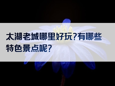 太湖老城哪里好玩？有哪些特色景点呢？