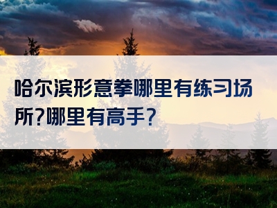 哈尔滨形意拳哪里有练习场所？哪里有高手？