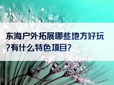 东海户外拓展哪些地方好玩？有什么特色项目？