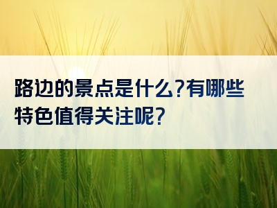 路边的景点是什么？有哪些特色值得关注呢？