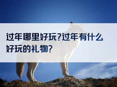 过年哪里好玩？过年有什么好玩的礼物？