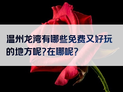温州龙湾有哪些免费又好玩的地方呢？在哪呢？