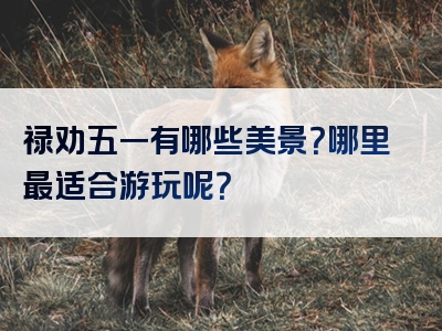 禄劝五一有哪些美景？哪里最适合游玩呢？