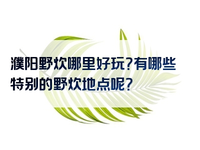 濮阳野炊哪里好玩？有哪些特别的野炊地点呢？