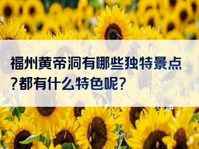 福州黄帝洞有哪些独特景点？都有什么特色呢？