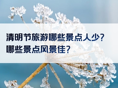 清明节旅游哪些景点人少？哪些景点风景佳？