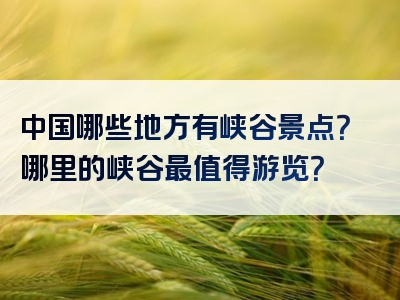 中国哪些地方有峡谷景点？哪里的峡谷最值得游览？