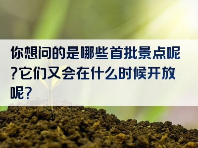 你想问的是哪些首批景点呢？它们又会在什么时候开放呢？
