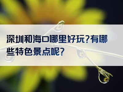 深圳和海口哪里好玩？有哪些特色景点呢？