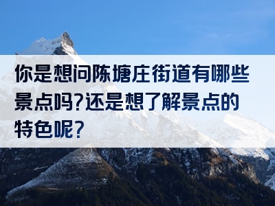 你是想问陈塘庄街道有哪些景点吗？还是想了解景点的特色呢？