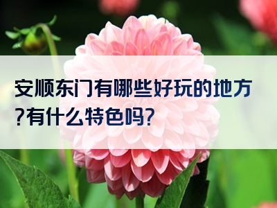 安顺东门有哪些好玩的地方？有什么特色吗？