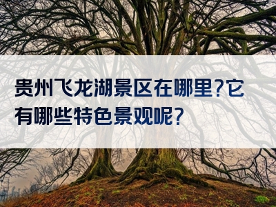 贵州飞龙湖景区在哪里？它有哪些特色景观呢？