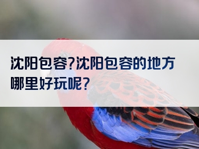 沈阳包容？沈阳包容的地方哪里好玩呢？