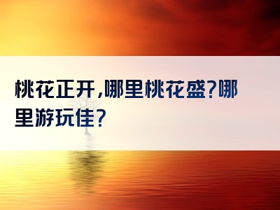桃花正开，哪里桃花盛？哪里游玩佳？