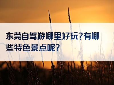 东莞自驾游哪里好玩？有哪些特色景点呢？