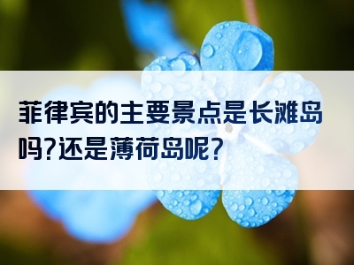 菲律宾的主要景点是长滩岛吗？还是薄荷岛呢？