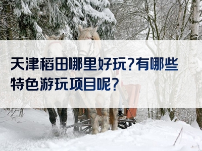 天津稻田哪里好玩？有哪些特色游玩项目呢？
