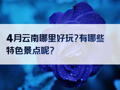 4月云南哪里好玩？有哪些特色景点呢？