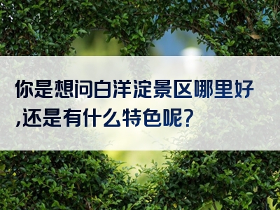 你是想问白洋淀景区哪里好，还是有什么特色呢？
