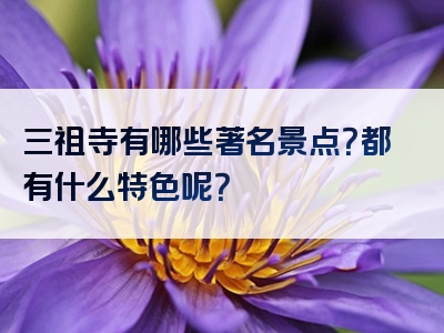 三祖寺有哪些著名景点？都有什么特色呢？