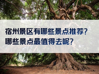 宿州景区有哪些景点推荐？哪些景点最值得去呢？