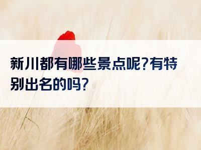新川都有哪些景点呢？有特别出名的吗？