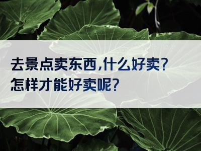 去景点卖东西，什么好卖？怎样才能好卖呢？